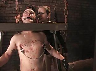 bdsm, slave, femidom