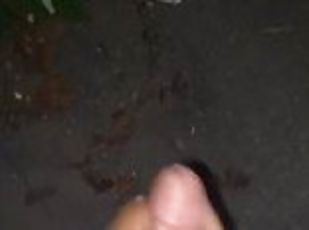 masturbation, en-plein-air, amateur, ejaculation-sur-le-corps, secousses, solo