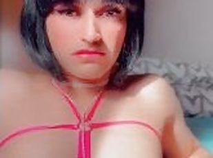 enorme, masturbación, transexual, amateur, anal, mamada, madurita-caliente, corrida, fetichista, a-solas