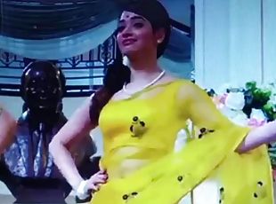 সমকামী, কাম