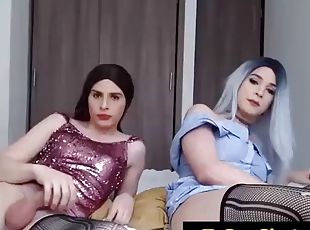 travestit, anal, hardcore