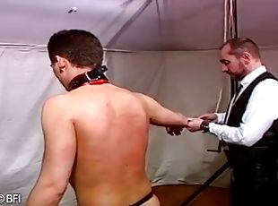 fiesta, mamada, madurita-caliente, gay, sadomasoquismo, esclava, fetichista, bondage