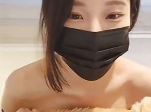Korean bear