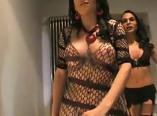 groß-titten, transsexueller, anal-sex, blasen, schwer, sadomasochismus, blöde-pibnelke, unterwäsche