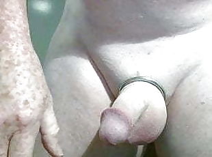 cock rings