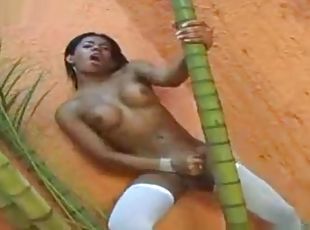 tetas-grandes, masturbación, transexual, negra-ebony, brasil, medias, acción, a-solas