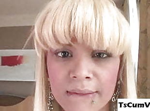 transsexueller, anal-sex, tranny, allein