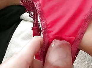 Panty cum