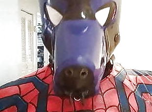 Spidey-Dog part 2