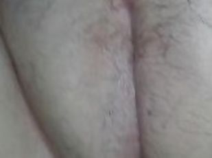 coño-pussy, amateur, regordeta, húmedo