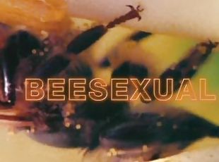 anal-sex, blasen