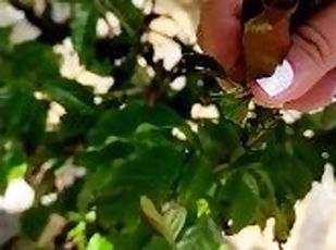 Flowers and fingers