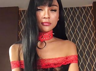 transsexueller, junge, ladyboy, glied