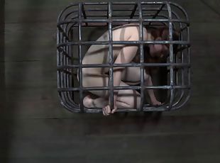 hundestilling, fisse-pussy, bdsm, slave