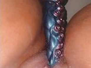 cul, masturbation, chatte-pussy, amateur, ébène, jouet, belle-femme-ronde, fantaisie, gode, solo