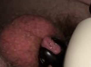 hårete, orgasme, amatør, cumshot, leke, homofil, pov, alene, bjørn