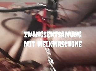 Melkmaschine Zwangsentsamung