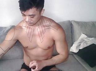 asiatiche, gay, seghe, webcam, solitari