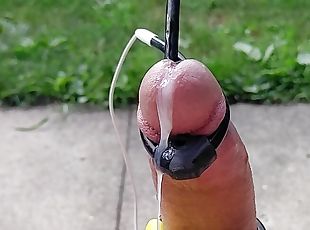 masturbation, en-plein-air, public, amateur, ejaculation-sur-le-corps, jouet, gay, point-de-vue, ejaculation, américaine