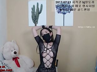 Korean bj in fishnet bodysuit