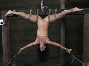 sadomasoquismo, máquinas, fetichista, bondage