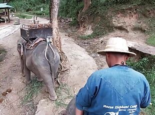 アジアの, ローティーン, タイの, ライディング