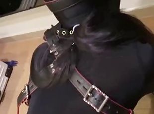 asiatic, bdsm, bondage