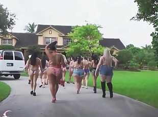 gros-nichons, ébène, hardcore, black, belle-femme-ronde, joufflue, gros-seins