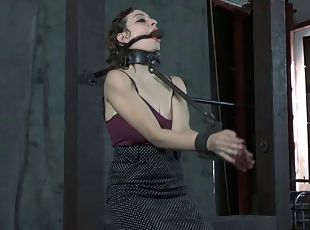 chatte-pussy, jouet, bdsm, esclave, fétiche, bondage, rasé