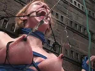 bdsm, blonde, bondage